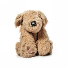 Dog made of fur, mad crazy single crooked hideous waste ugly defective, raw, ragged, isolated on white