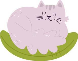 Cat Sleeping In Nest