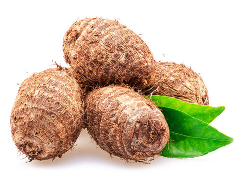 Raw organic eddoe or taro corms isolated on white background.