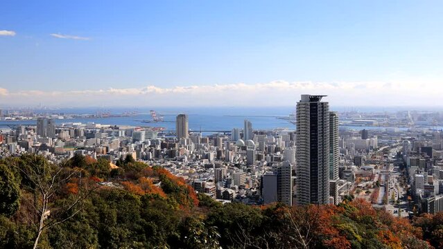 六甲山から眺める神戸の街と紅葉（フィックス・パン）中央区灘区の街並みとポートアイランド・神戸空港;六甲アイランドが見えます。　神戸市中央区にて