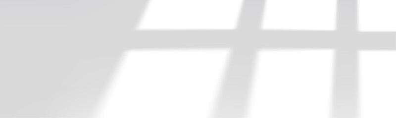 Transparent overlay shadow from the window. Shadow overlay effect. Realistic soft light effect of shadows and natural lightning on transparent background