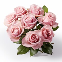 beautiful bouquet of pink roses on a white background  . AI Generative