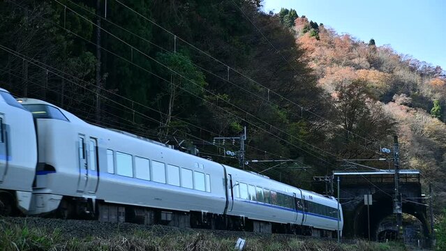 北陸新幹線敦賀延伸前の北陸本線を走る特急サンダーバード（北陸本線 南今庄-敦賀, 2023年11月）