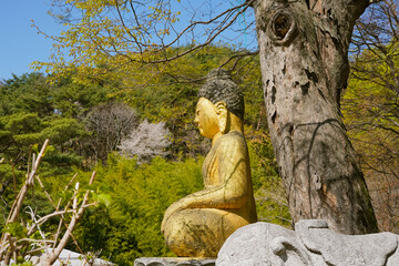 a golden Buddha statue in a mountain temple in Korea
