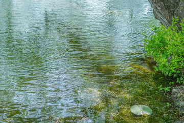 the lake's thick forests and reflective landscapes