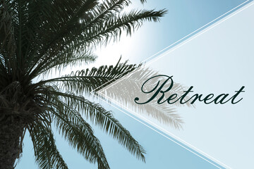 Wellness retreat. Beautiful palm tree under blue sky