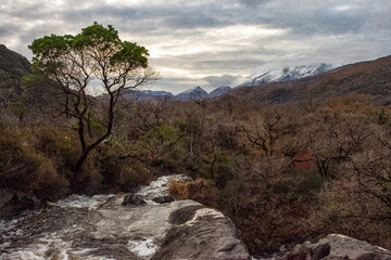 Fototapeta na wymiar a river flowing through a mountain range with a tree