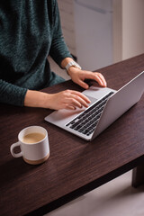 Fototapeta na wymiar closeup woman hands typing on laptop keyboard, working at home