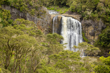 Scenic Hunua falls, Auckland New Zealand