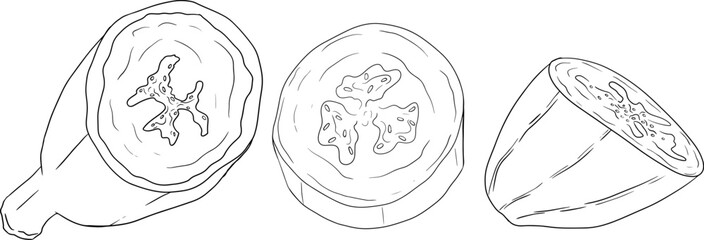 Banana, bananas coloring pages. Tropical harvest and agriculture. Vector hand drawn line illustration. Exotic fruits isolated on white background