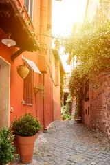 Foto op Canvas Narrow street of small town with many flowers in Italy © Maresol