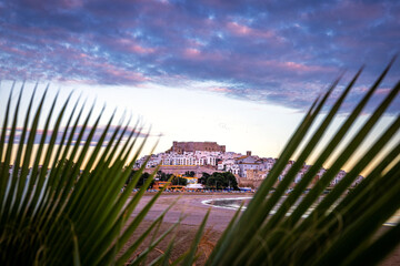 View through the palm trees to the fortress of Peniscola