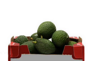 Red cardboard box full of bright green avocados on a white background, healthy food