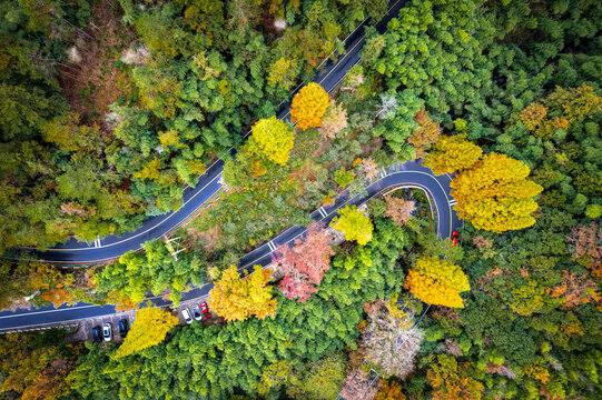 Aerial photography of outdoor forest winding mountain roads