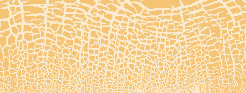Melon skin orange texture close up. Round silhouette. Cracked peel structure. Vector background	