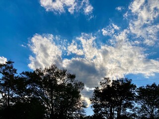 太陽光を透して輝く雲と青空と木々のシルエット