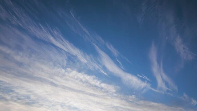 Slowly moving white altostratus clouds over a blue sky. Low angle shot