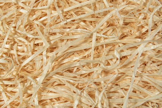 Wooden sawdust shavings background