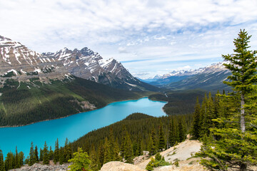High angle view of the turquoise colored water of glacier-fed Peyto Lake, Alberta, Canada in the...