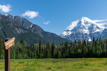 Low angle view of meadow with wildflowers like purple lupine with in background snowcapped Mount Robson -sign indicated- against a clear blue sky in Mt Robson Provincial park, BC, Canada - obrazy, fototapety, plakaty