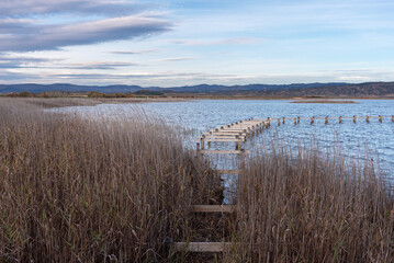 Fototapeta na wymiar Pitillas lagoon, Navarra