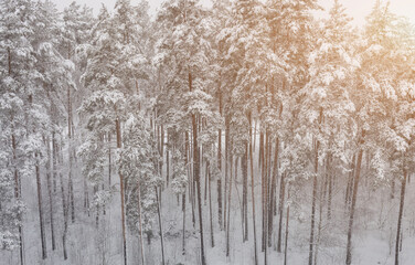 Aerial view winter landscape
