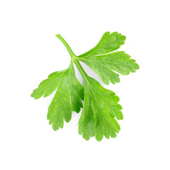 Sprig of fresh green parsley leaves isolated on white, above view