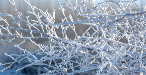 Stimmungsvolle Winteransicht mit Eiskristallen und verschneiten Ästen an Bäumen - 688545545