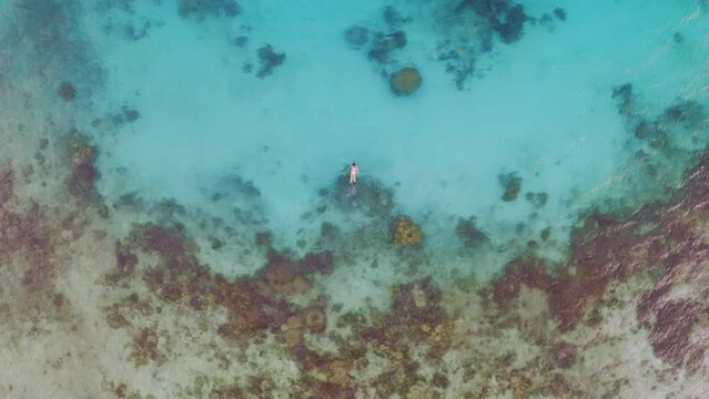 Ocean, coral reef and woman snorkeling from drone with water, freedom and tropical island holiday. Diving, adventure and relax, girl swimming on summer travel vacation at sea in morning aerial view