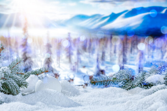Christmas background of empty space for your decoration with snow and frost. Winter december time and new year time. Mockup of empty place and winter landscape. 