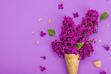 Violet lilac flowers in waffle ice cream cones on purple background. Flat lay, spring concept