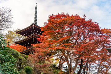 Obraz premium 岡寺