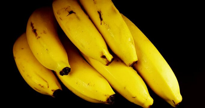 A bunch of bananas on a black background in splashes and drops of water.