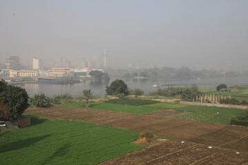 The Nile river, fog, trees, landscape