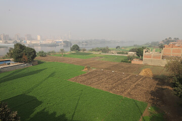 The Nile river, fog, trees, landscape
