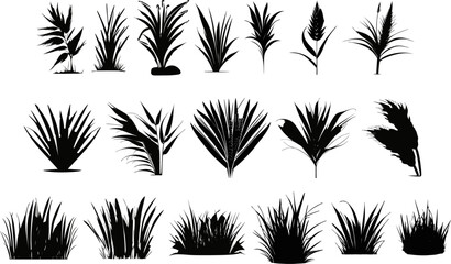 Herbes vectoriel silhouette brush - obrazy, fototapety, plakaty