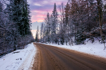 Obraz premium asphalt country road through fir forest in evening light. carpathian winter scenery