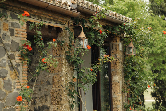 Fototapeta old house with flowers