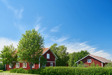 Swedish red house with trees and garden in summer