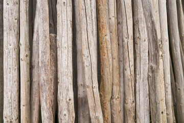 Many round weathered old wood planks as background texture
