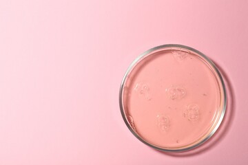Petri dish with liquid sample on pink background, top view. Space for text