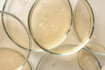 Petri dishes with color liquid samples on white background, top view