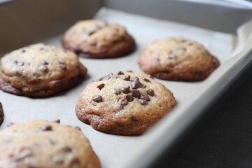 Baking pan with chocolate chip cookies, closeup