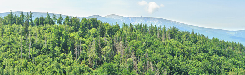 View of the Śnieżka Mountain massif seen from the Chojnik castle