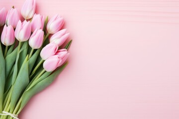 Spring holiday tender cute background with pink tulips. Mother day