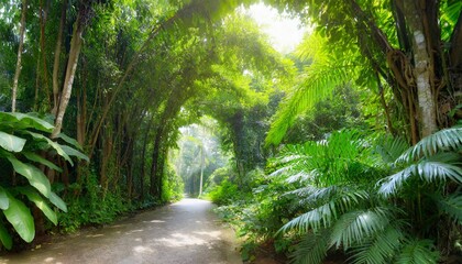 deep tropical jungles of southeast asia green trees tunnel extra wide background banner