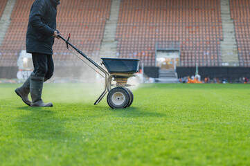 Groundsman spreads fertilizer for grass on a football pitch - obrazy, fototapety, plakaty