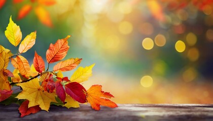 Naklejka na ściany i meble sunny colorful fall season leaves on blurry bokeh copy space background selective focus used