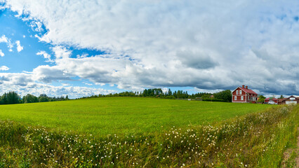 Panoramic view of green field with Scandinavian farmhouse
