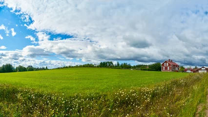 Foto op Aluminium Panoramic view of green field with Scandinavian farmhouse © Robert Kneschke